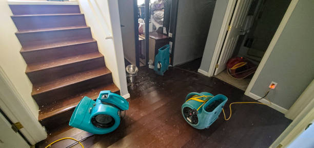 Best Water damage mitigation services  in Daniels Farm, CT