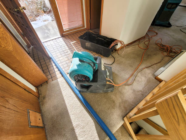 Reliable Daniels Farm, CT Water damage restoration Solutions
