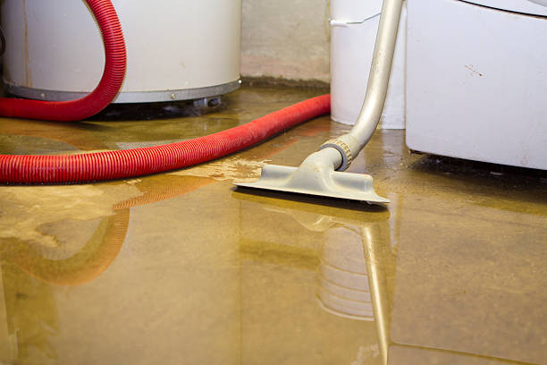 Best Flood damage cleanup  in Daniels Farm, CT
