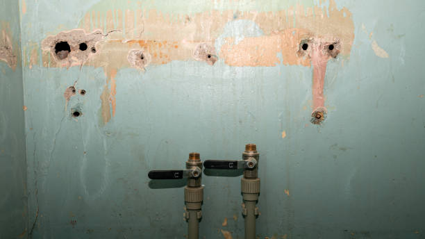 Best Water damage restoration near me  in Daniels Farm, CT