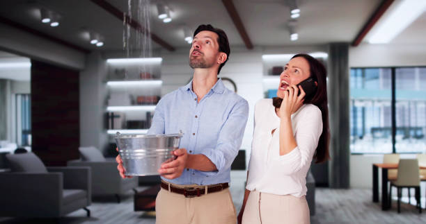 Best Residential water damage restoration  in Daniels Farm, CT