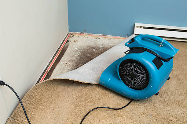 Water damage restoration process in Daniels Farm, CT