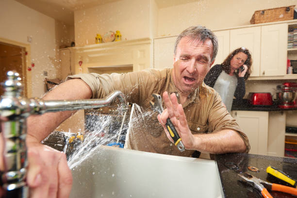 Best 24/7 water damage repair  in Daniels Farm, CT
